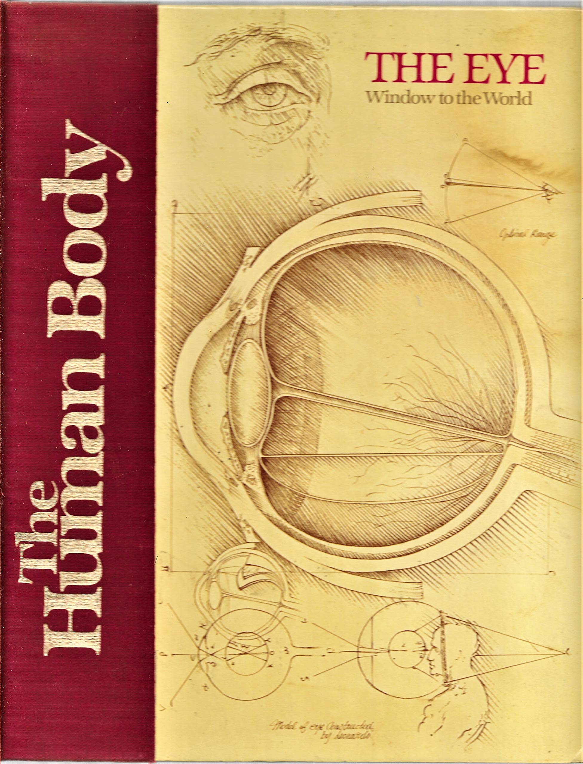 Eye, Window to the World (Human Body Series) Medicine