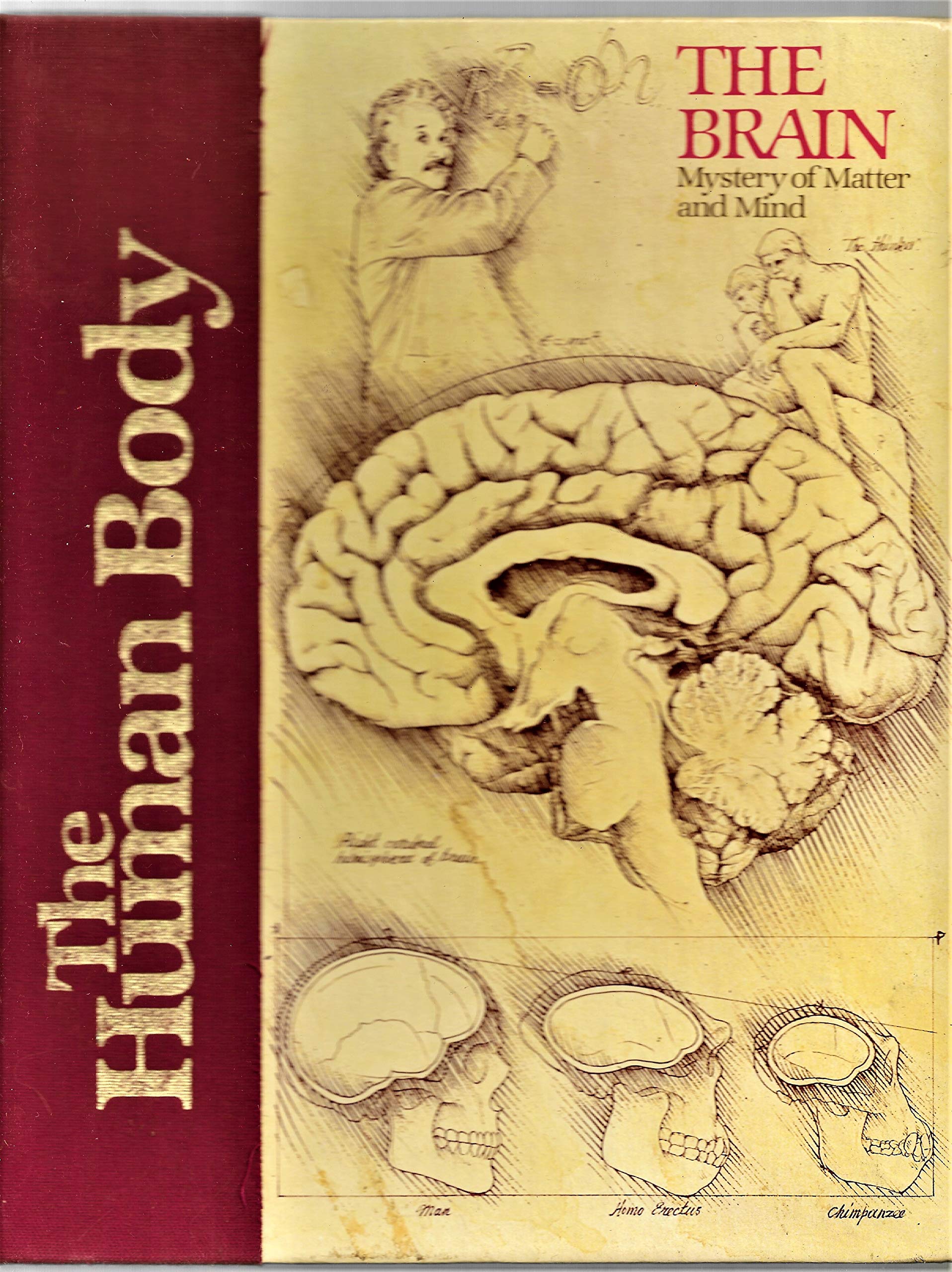 The Brain: Mystery of Matter and Mind (Human Body) Medicine