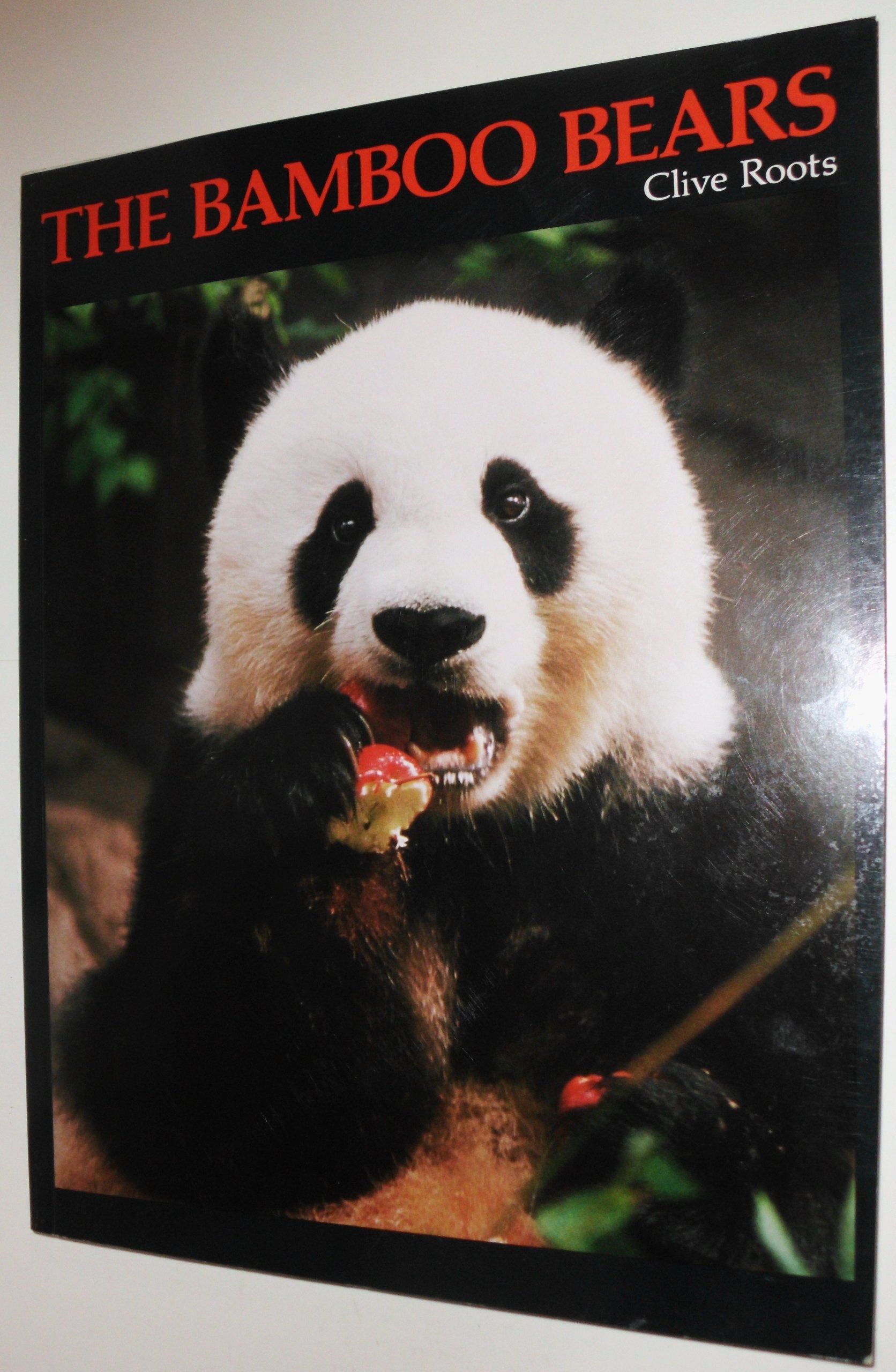 Bamboo Bears: The Life and Troubled Times of the Giant Panda book