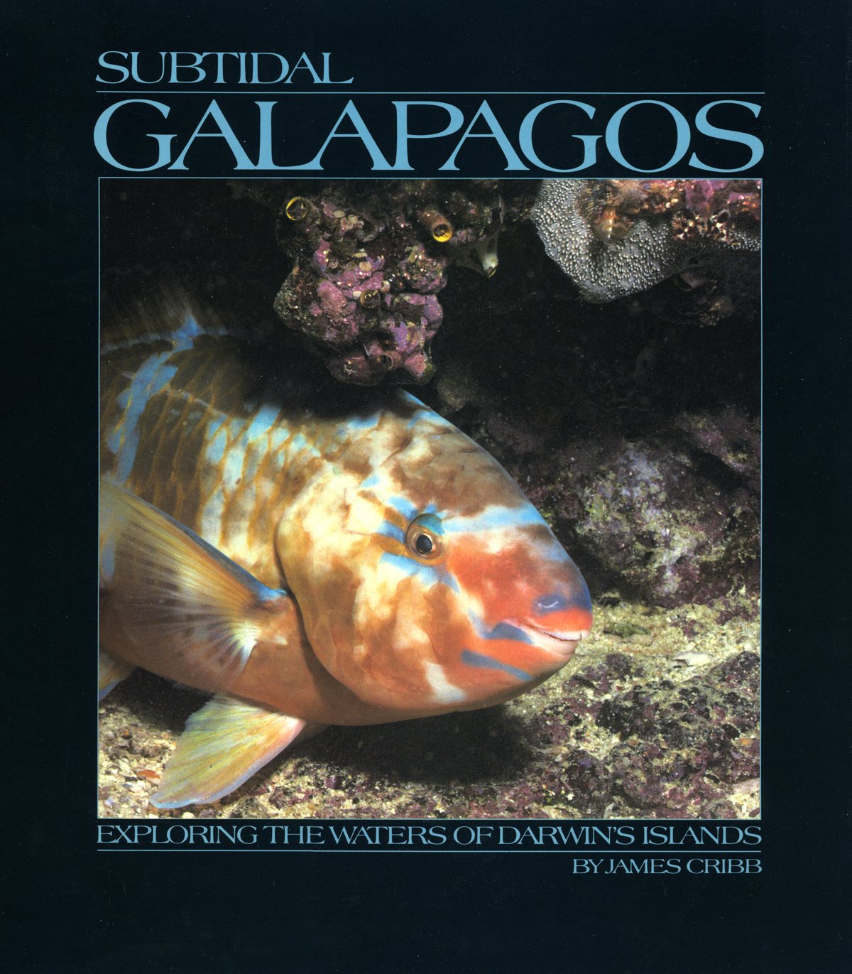 Subtidal Galapagos: Exploring the Waters of Darwin's Islands Leisure, Home & Garden