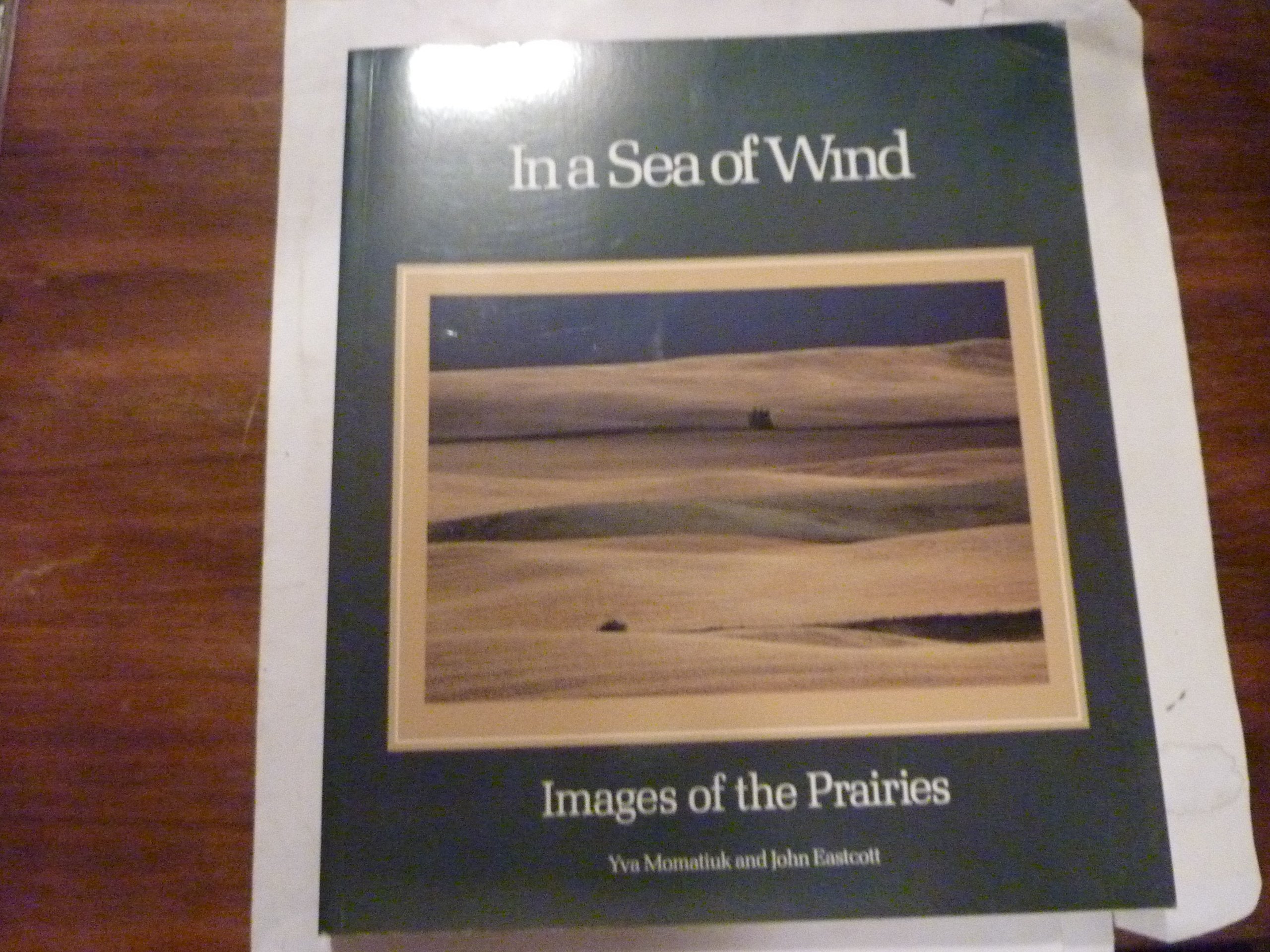 In a Sea of Wind: Images of the Prairies Politics & History