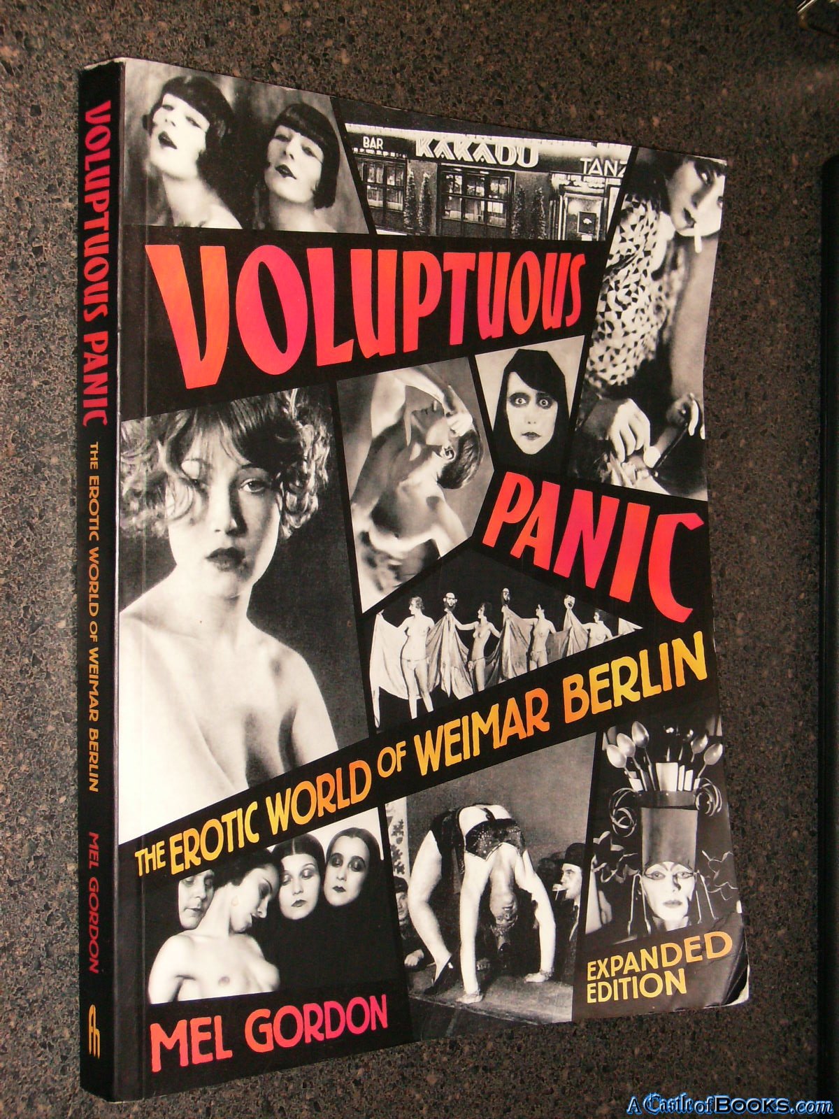Voluptuous Panic: The Erotic World of Weimar Berlin Books