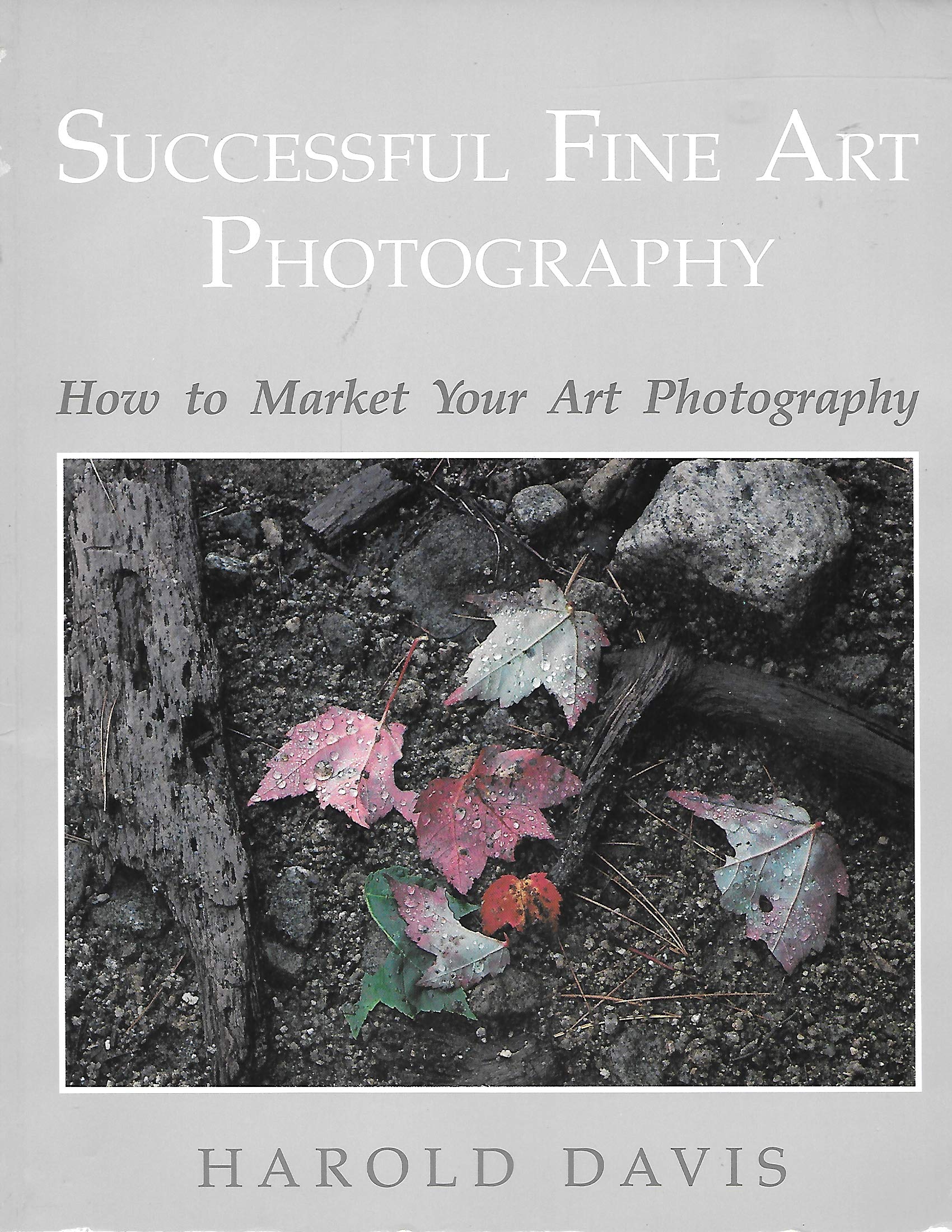 Successful Fine Art Photography: How to Market Your Art Photography Photography