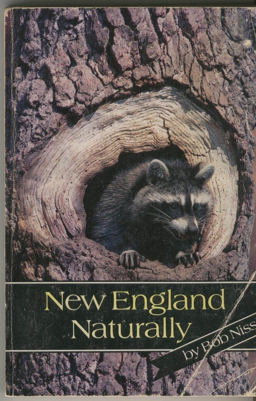 New England naturally: A Back forty journal Books