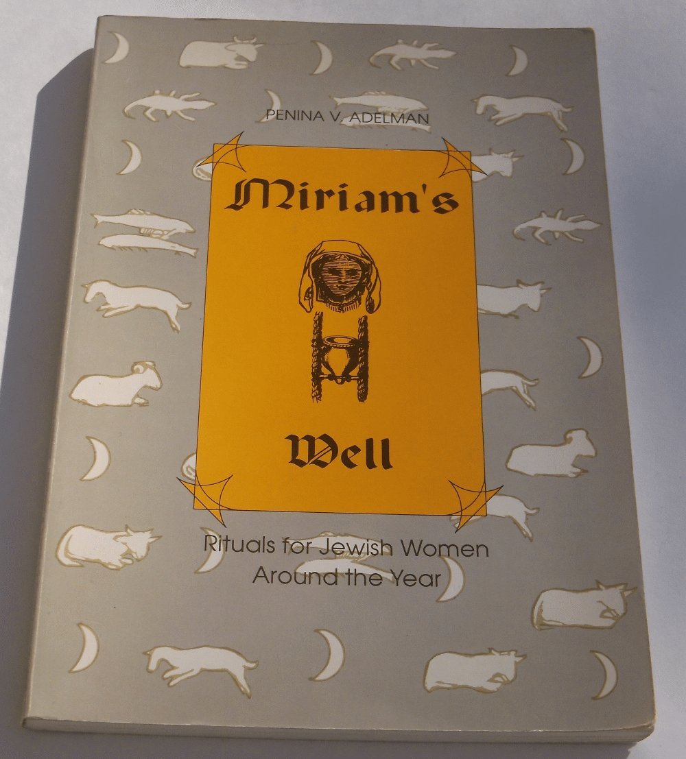Miriam's Well: Rituals for Jewish Women Around the Year Social Sciences