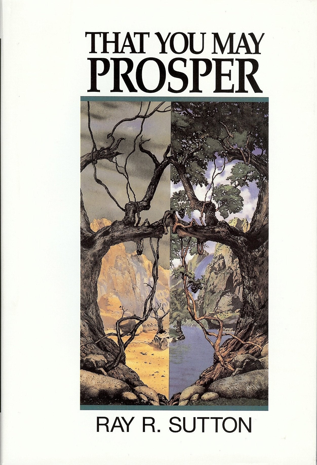 Product Image: That You May Prosper: Dominion by Covenant