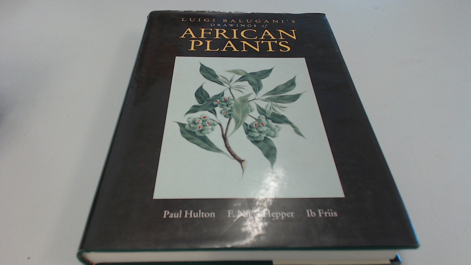 Luigi Faluganis Drawings of African Plants 1991 Books