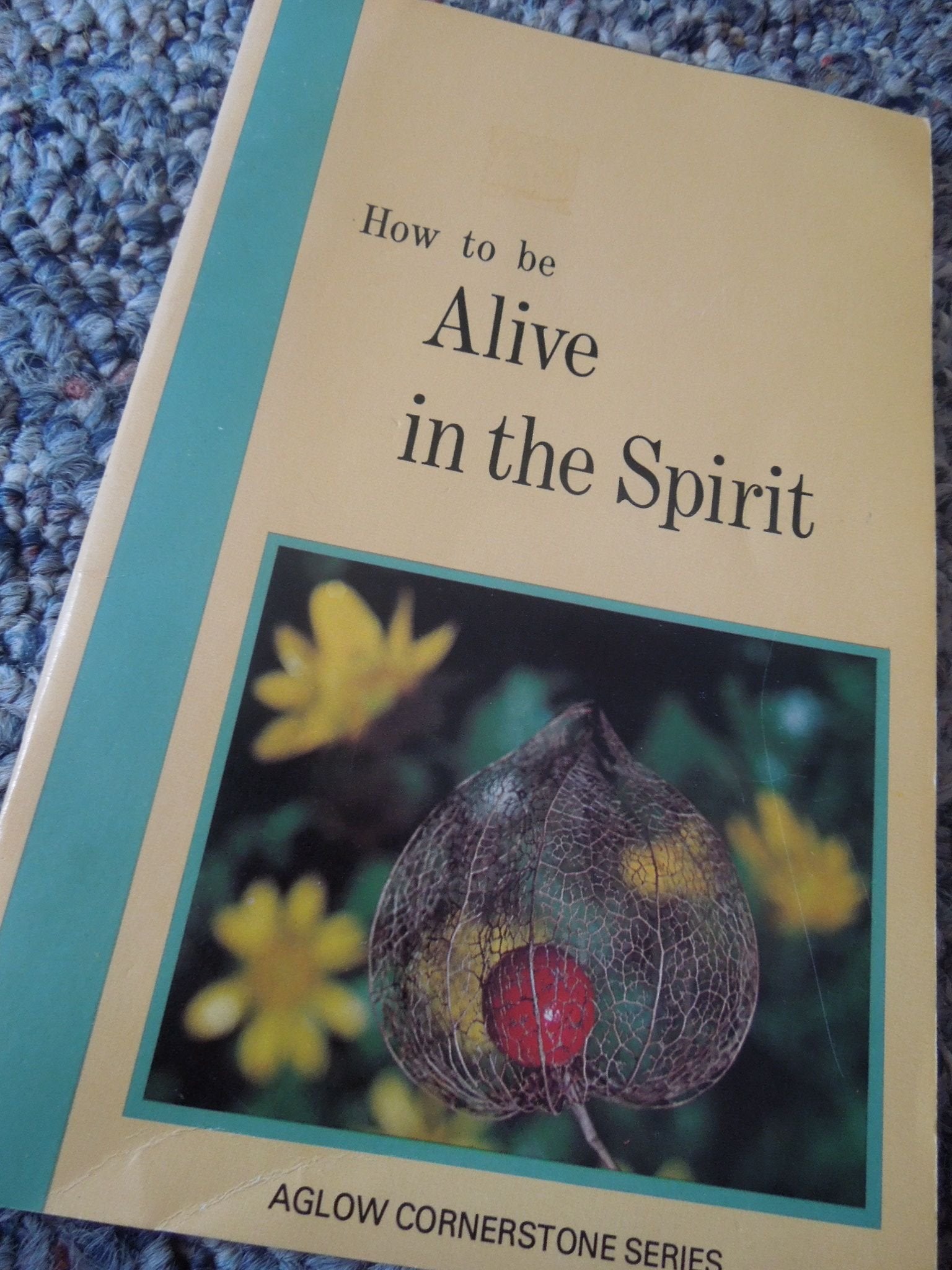 How to Be Alive in the Spirit Books