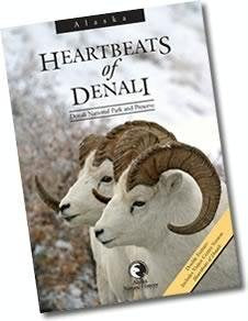 HEARTBEATS OF DENALI Movies