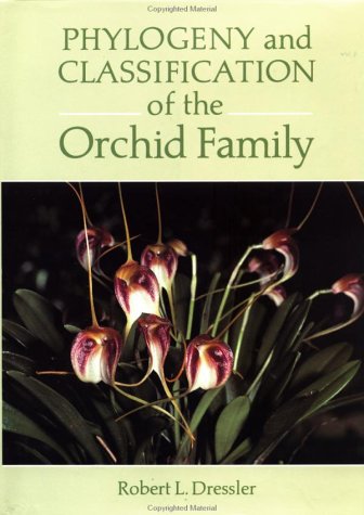 Phylogeny and Classification of the Orchid Family Mathematics