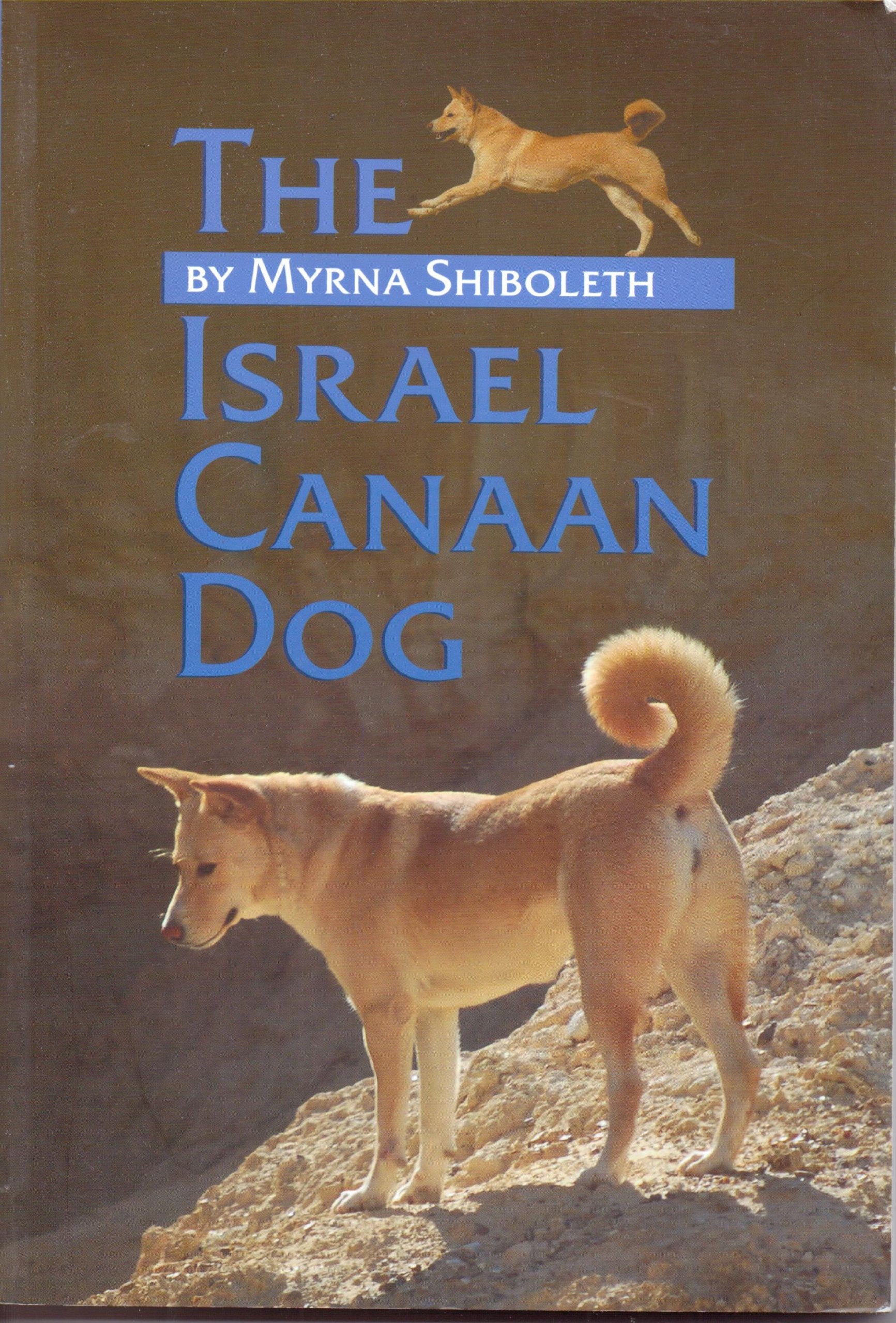 The Israel Canaan Dog Pets