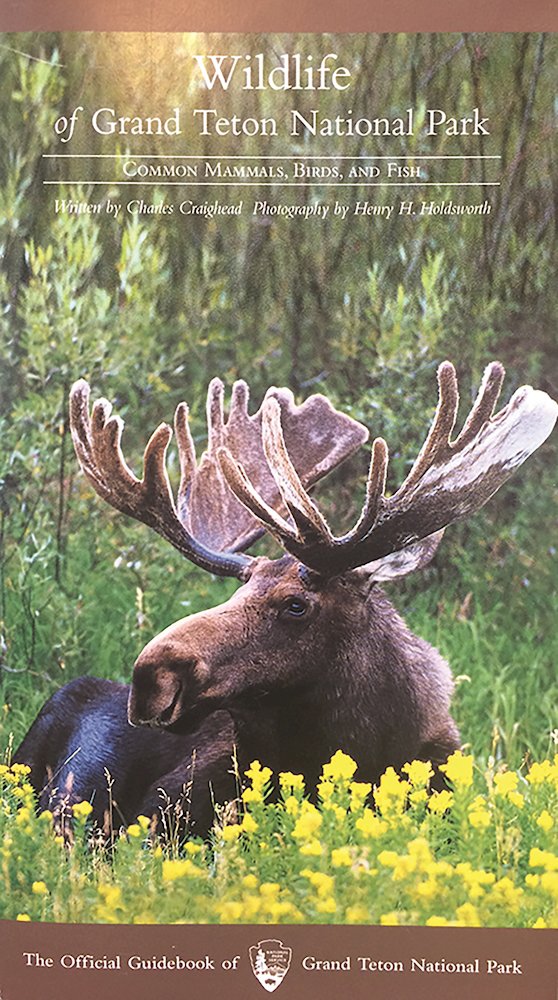 Wildlife of Grand Teton National Park Travel Guides