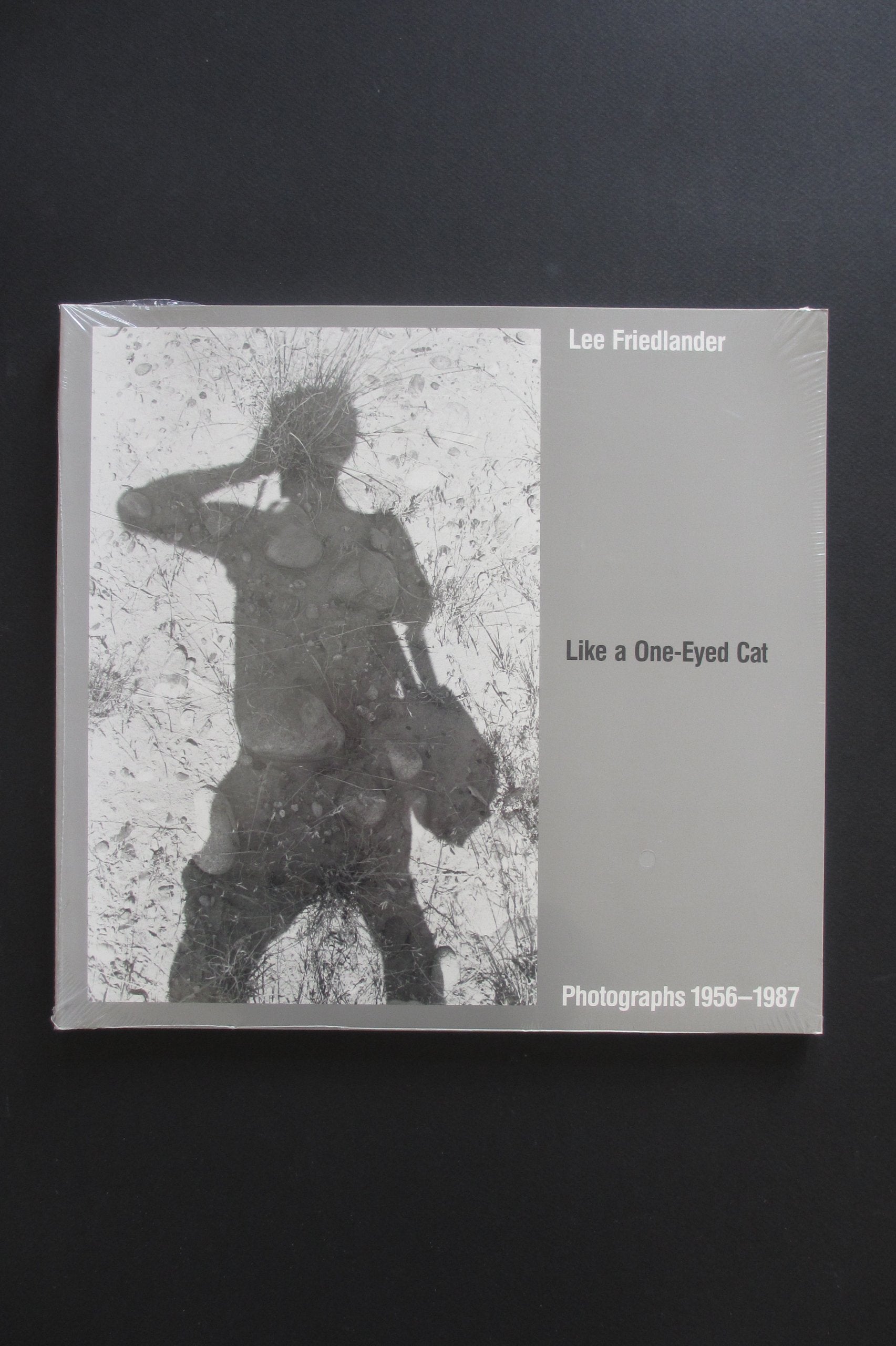 Like a One-Eyed Cat: Photographs by Lee Friedlander, 1956-1987 Books