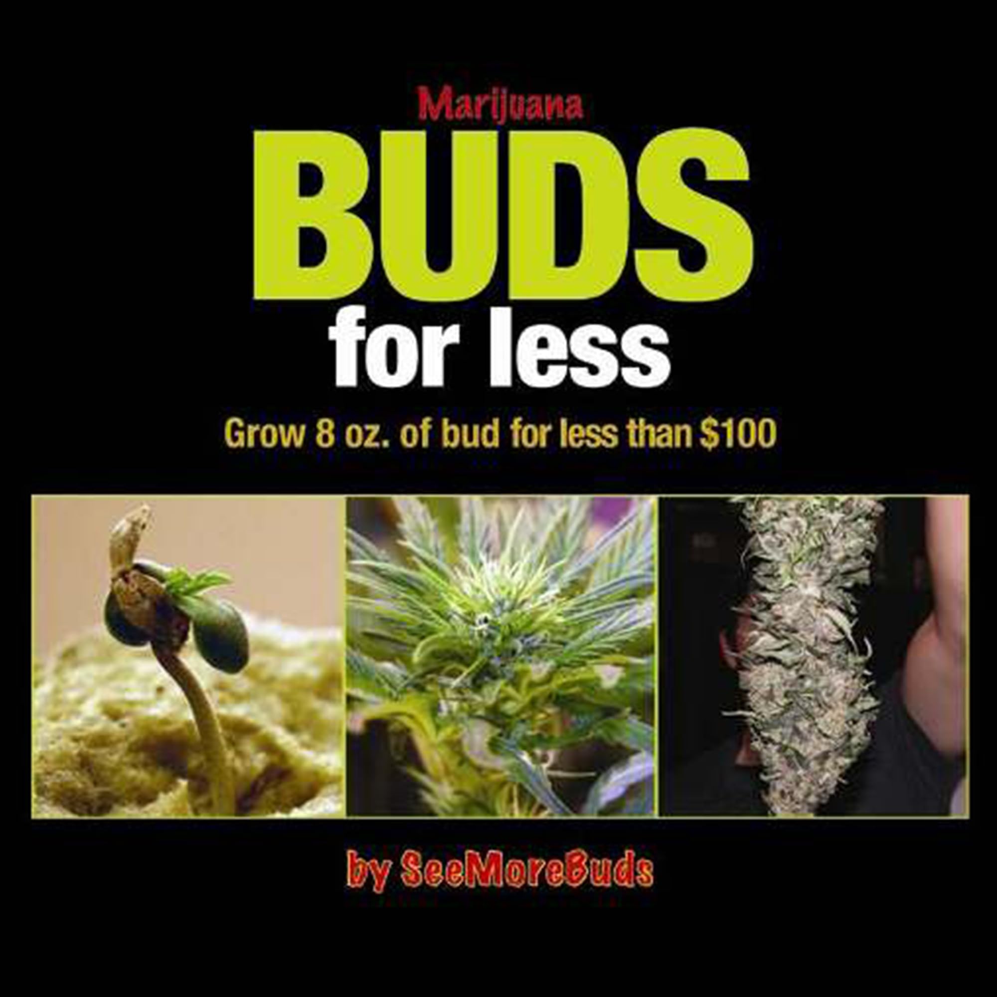 Marijuana Buds for Less: Grow 8 Oz. of Bud for Less Than $100 Books