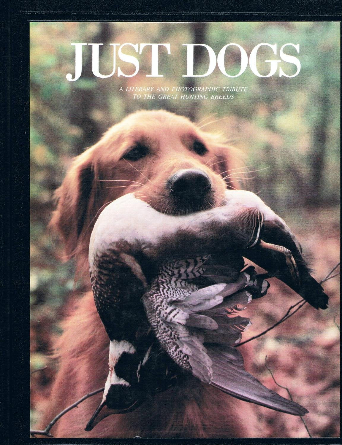 Just Dogs: A Literary and Photographic Tribute to the Great Hunting Breeds Mathematics