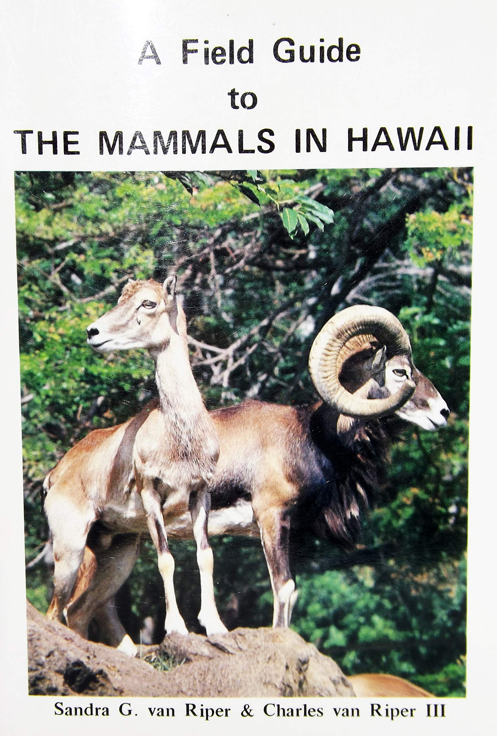 A field guide to the mammals in Hawaii Books