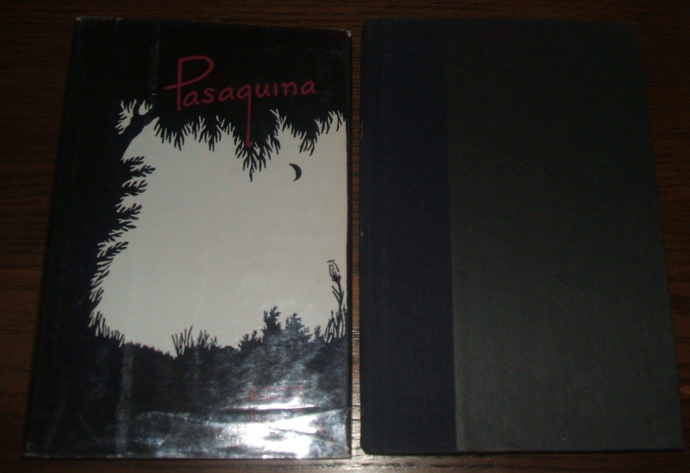 Pasaquina: A Novel of El Salvador Contemporary literature