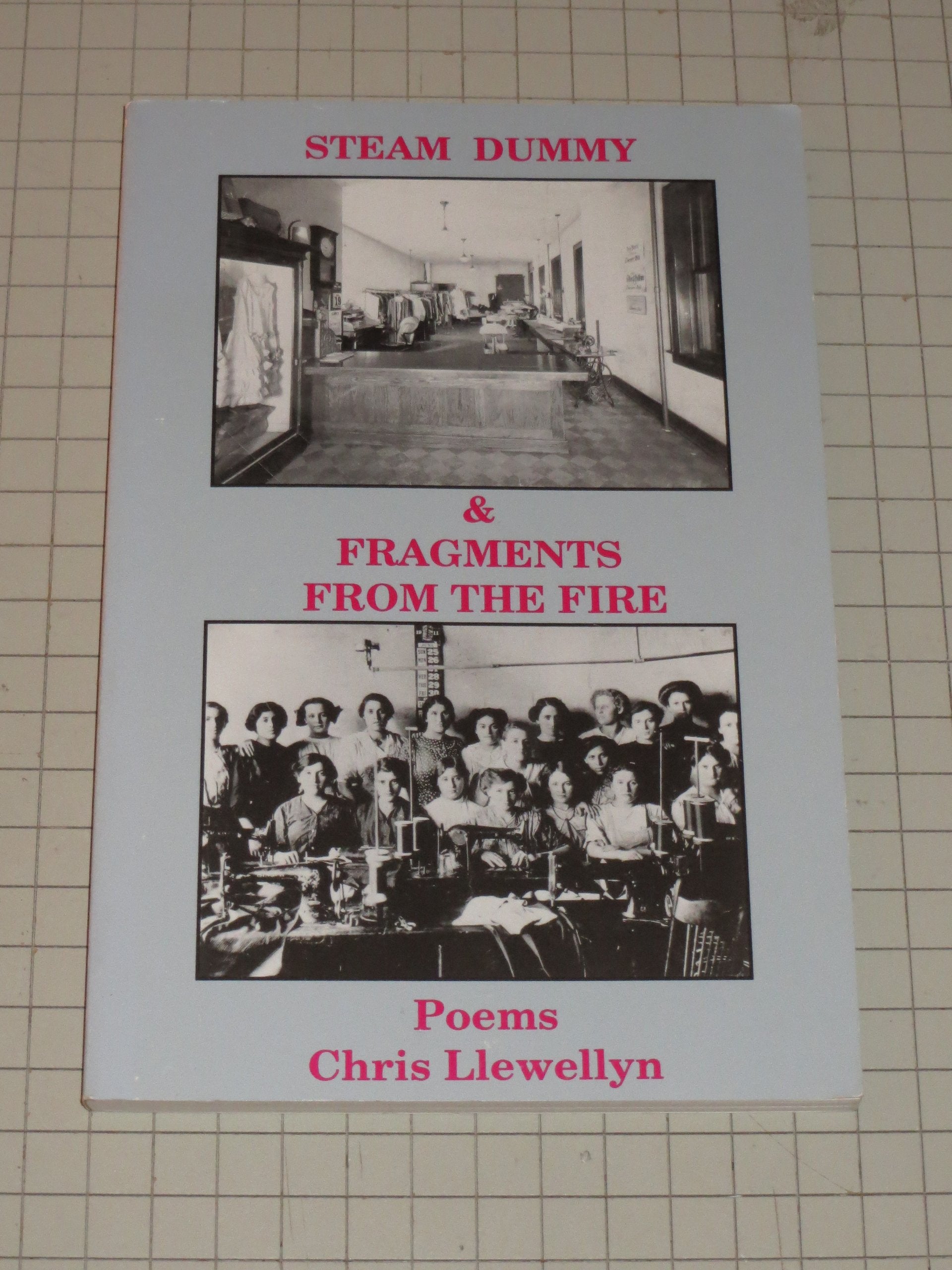 Steam Dummy & Fragments from the Fire: The Triangle Shirtwaist Company Fire of March 25, 1911 : Poems (Midwest Writers) Poetry