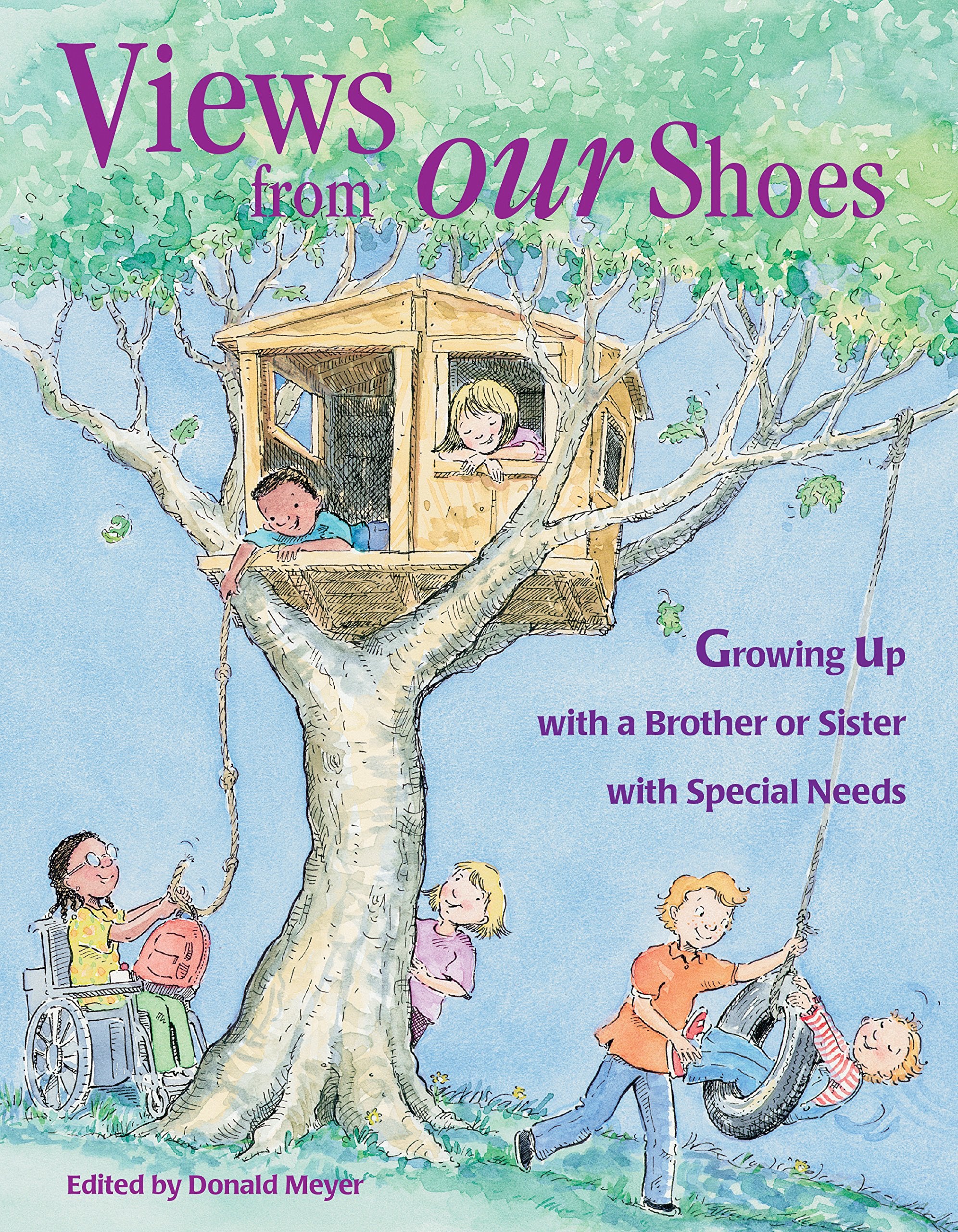 Views from Our Shoes: Growing Up With a Brother or Sister With Special Needs Social Sciences