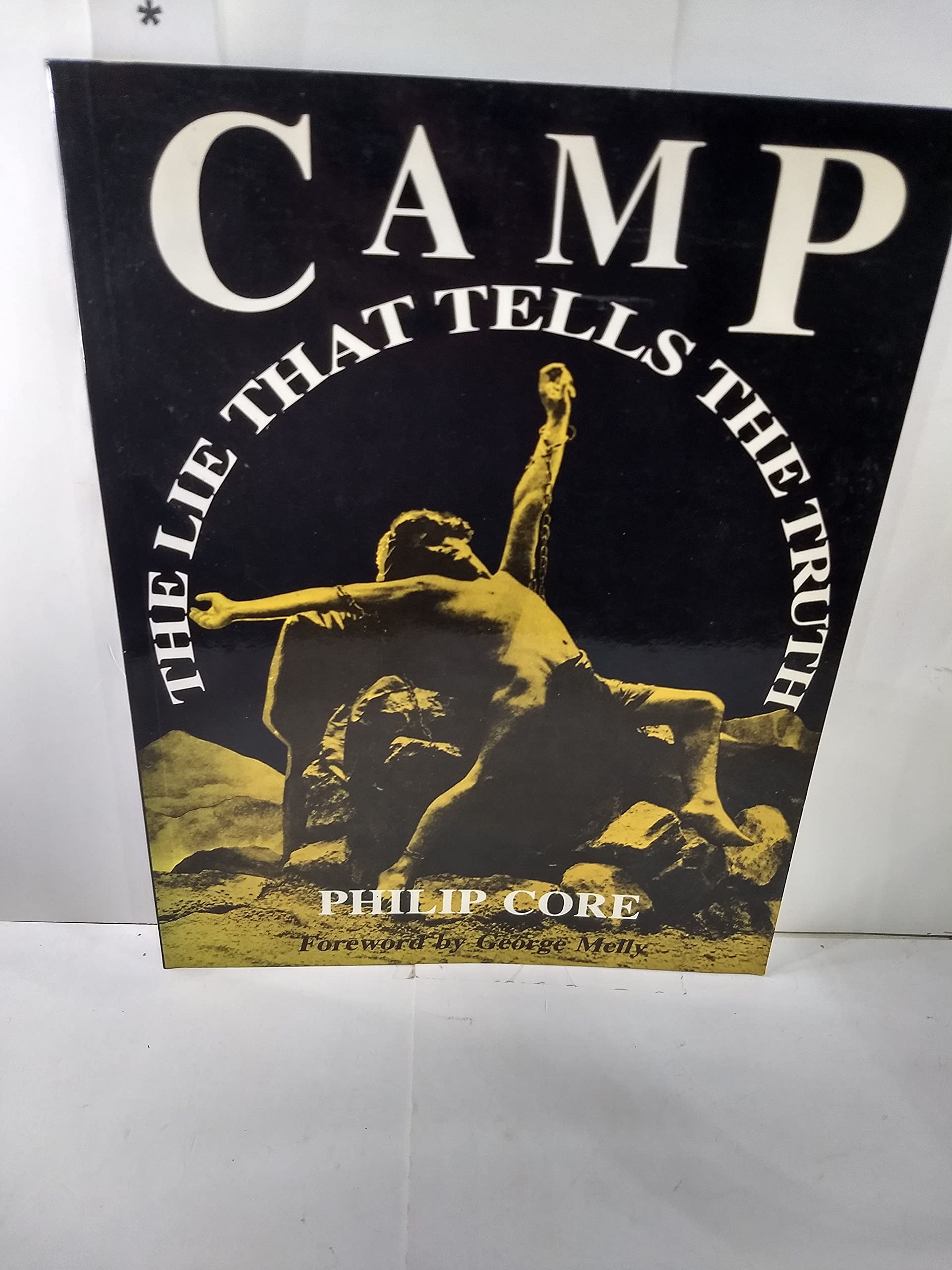 Camp: The Lie That Tells the Truth Books