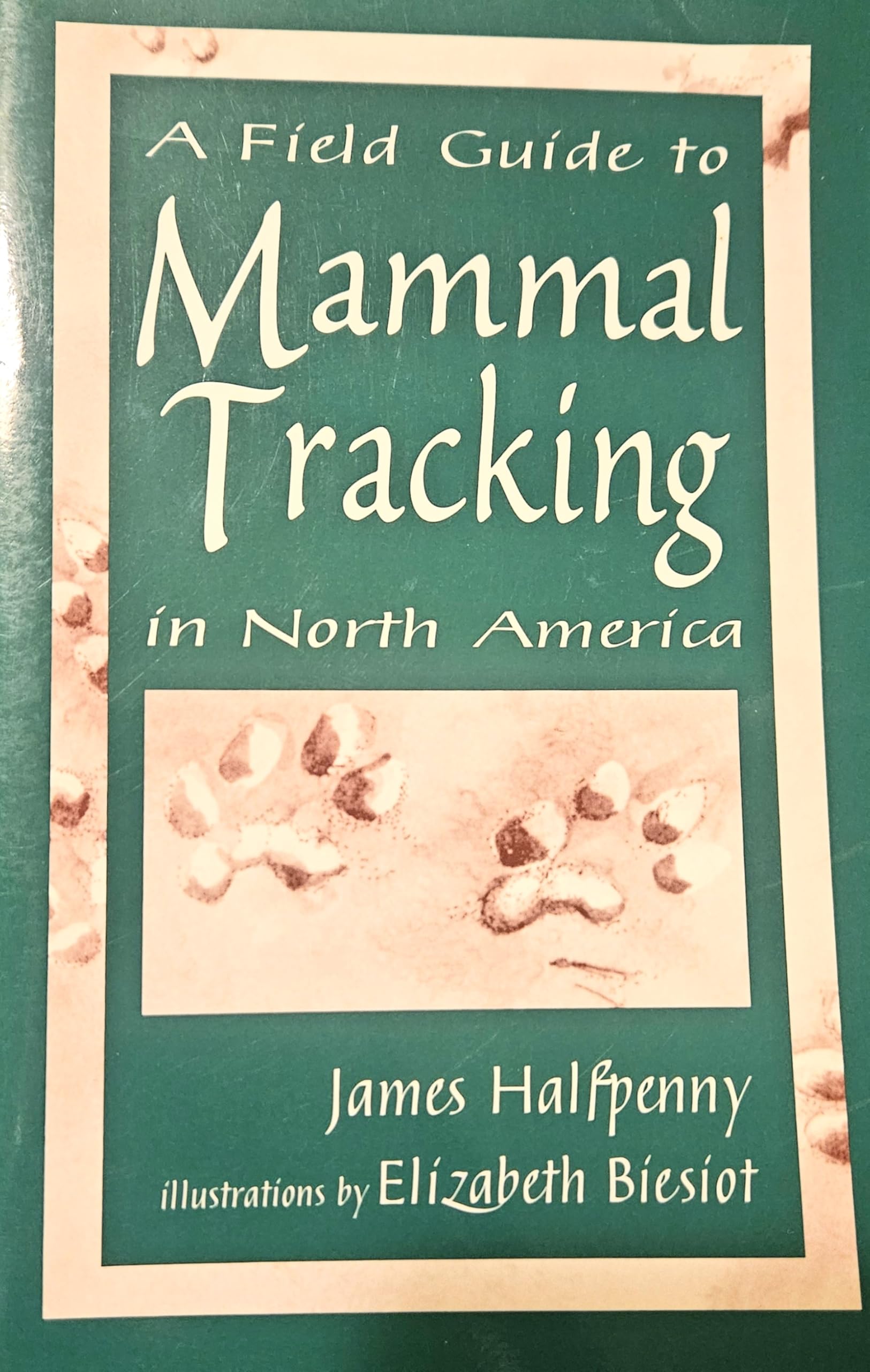 Field Guide to Mammal Tracking in North America Mathematics