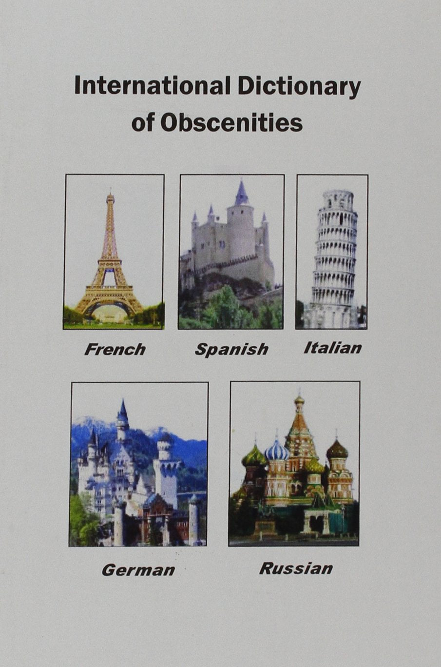 International Dictionary of Obscenities: A Guide to Dirty Words and Indecent Expressions in Spanish, Italian, French, German and Russian General education
