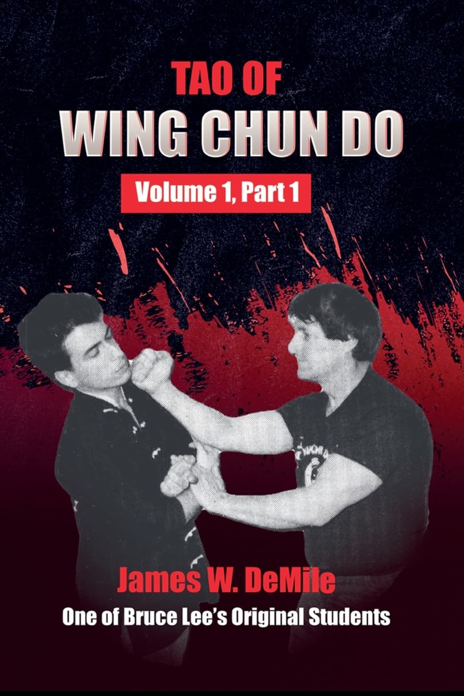 Tao of Wing Chun Do Leisure & Fun