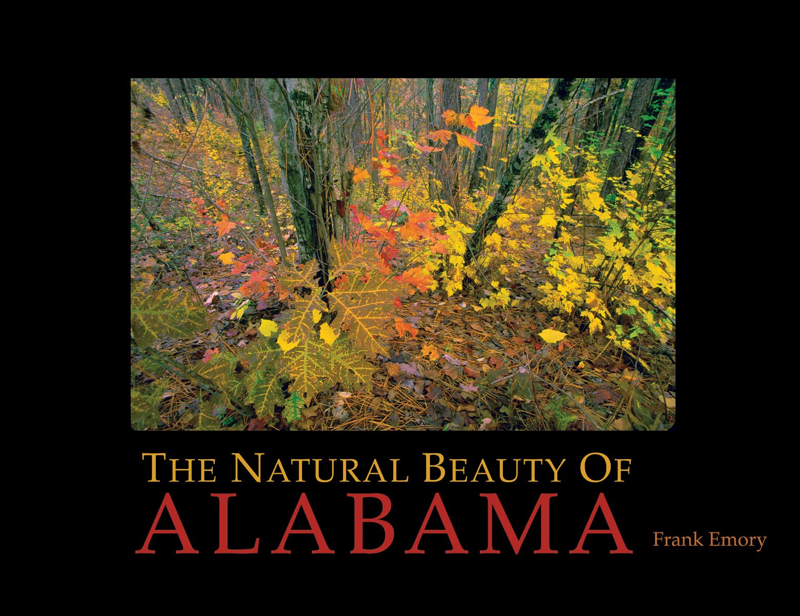 The Natural Beauty Of Alabama Travel