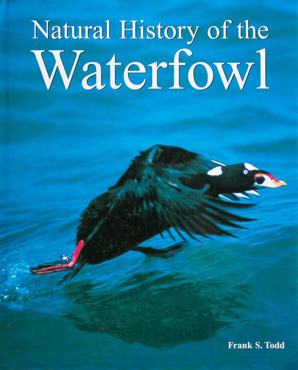 Natural History of the Waterfowl Mathematics