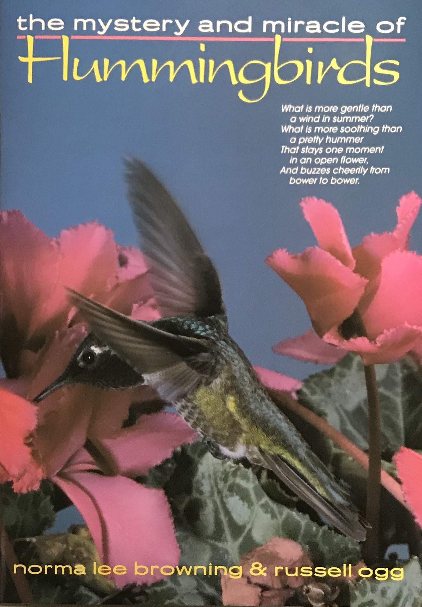 The Mystery and Miracle of Hummingbirds Books