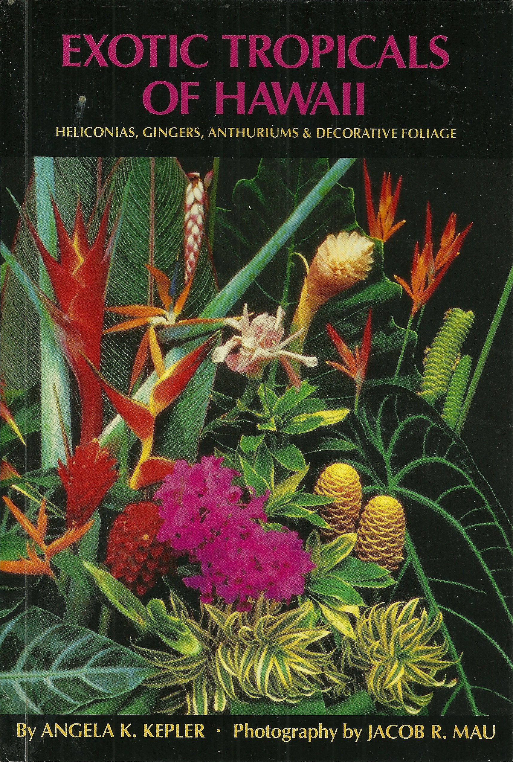 Exotic Tropicals of Hawaii Garden & Plants