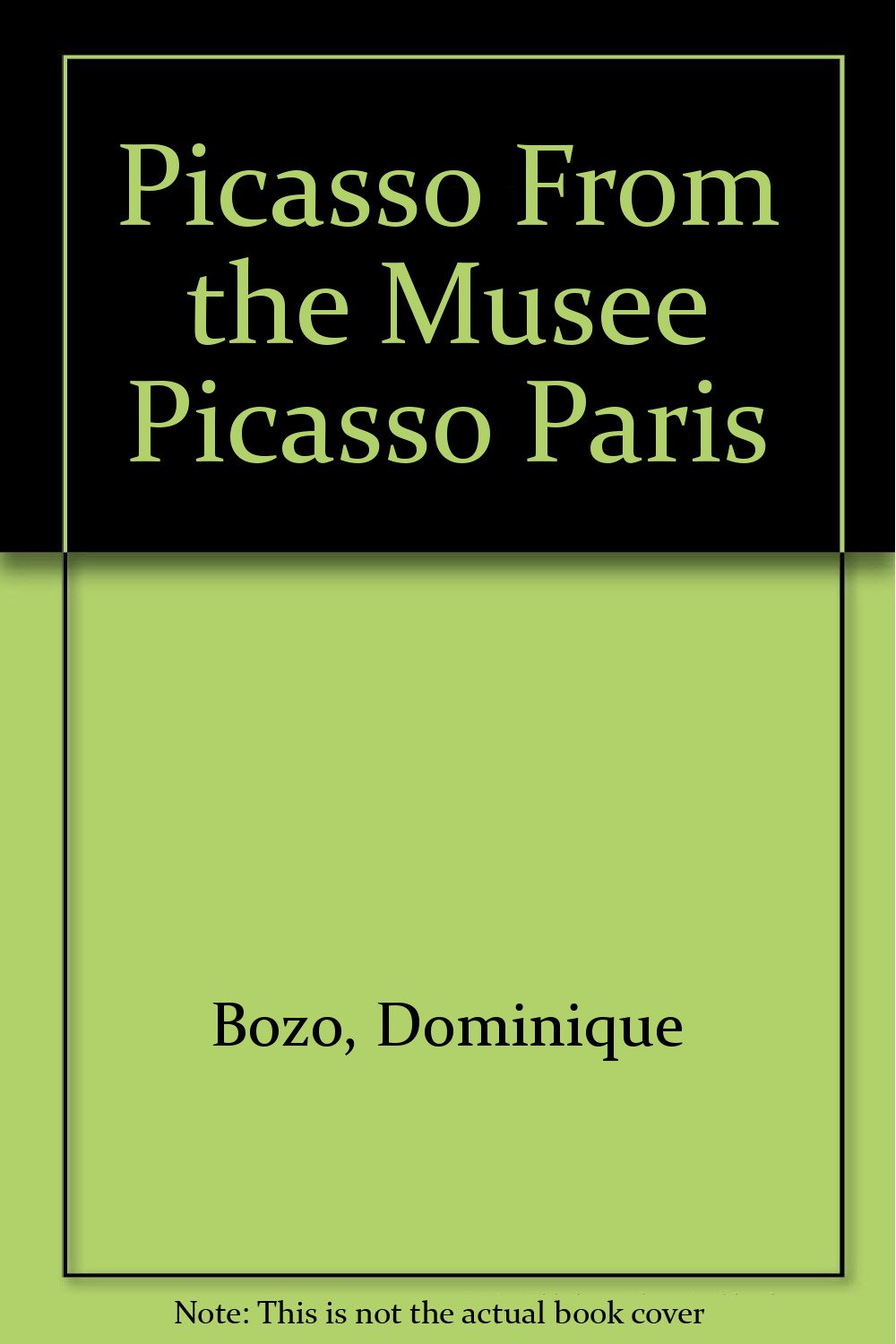Picasso From the Musee Picasso Paris Books