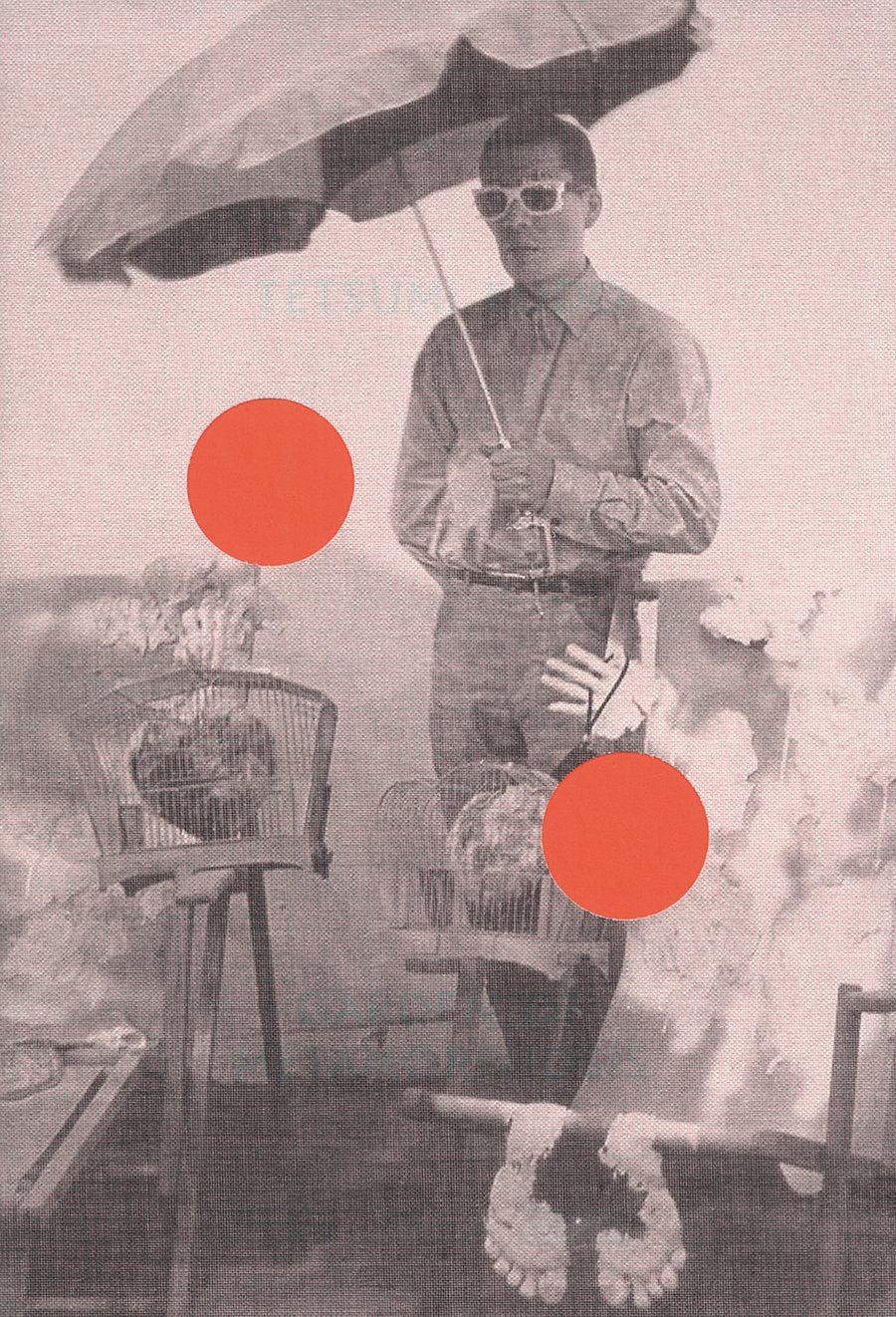 Tetsumi Kudo: Garden of Metamorphosis book