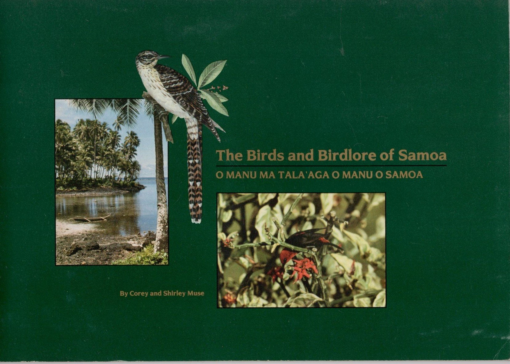 The birds and birdlore of Samoa =: O manu ma talaaga o manu o Samoa Books