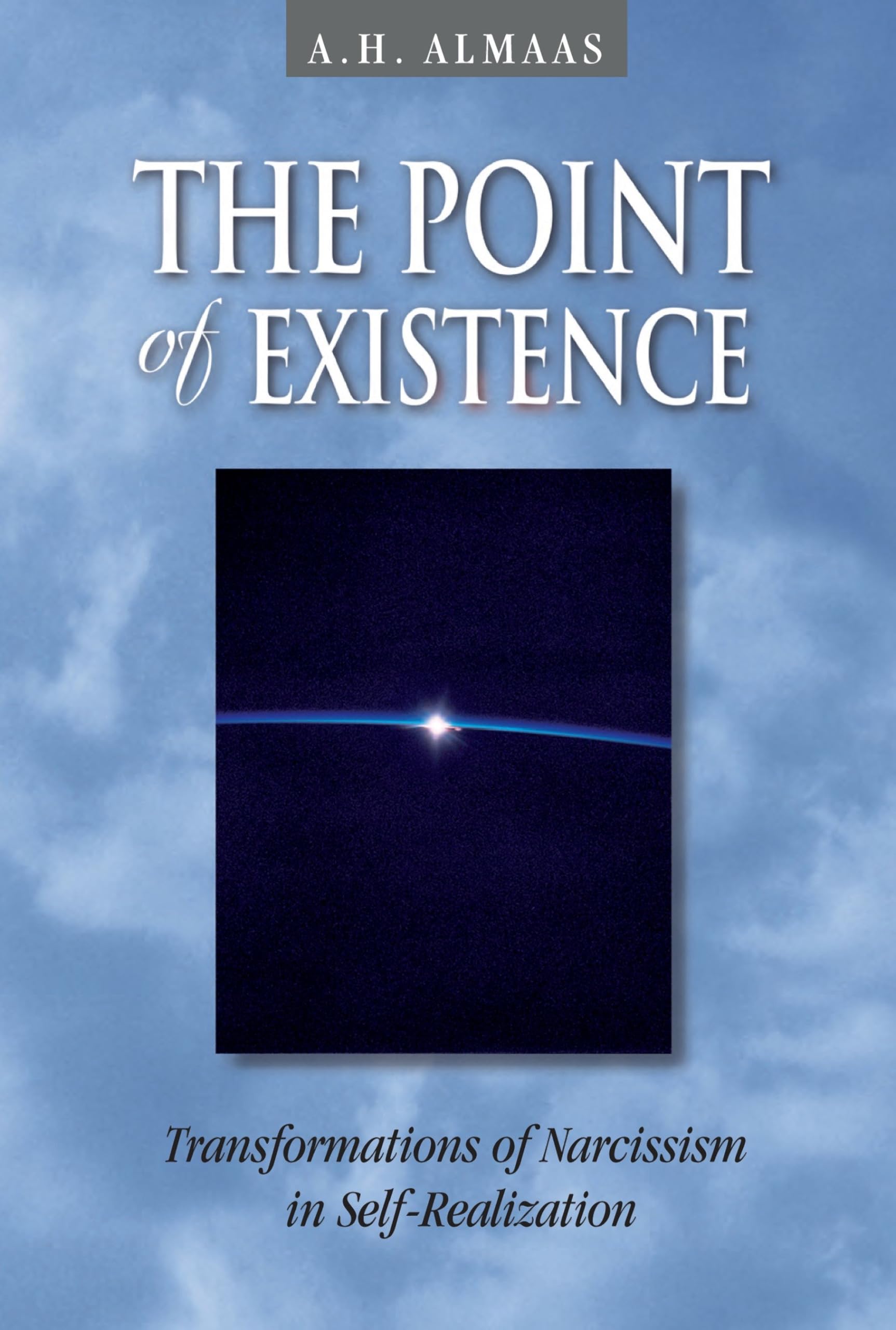 The Point of Existence: Transformations of Narcissism in Self-Realization (Diamond Mind Series, 3, Band 3) Psychology