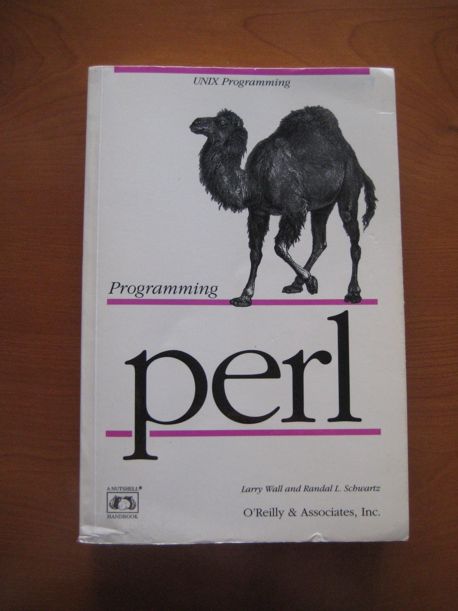 Programming perl Computer Science