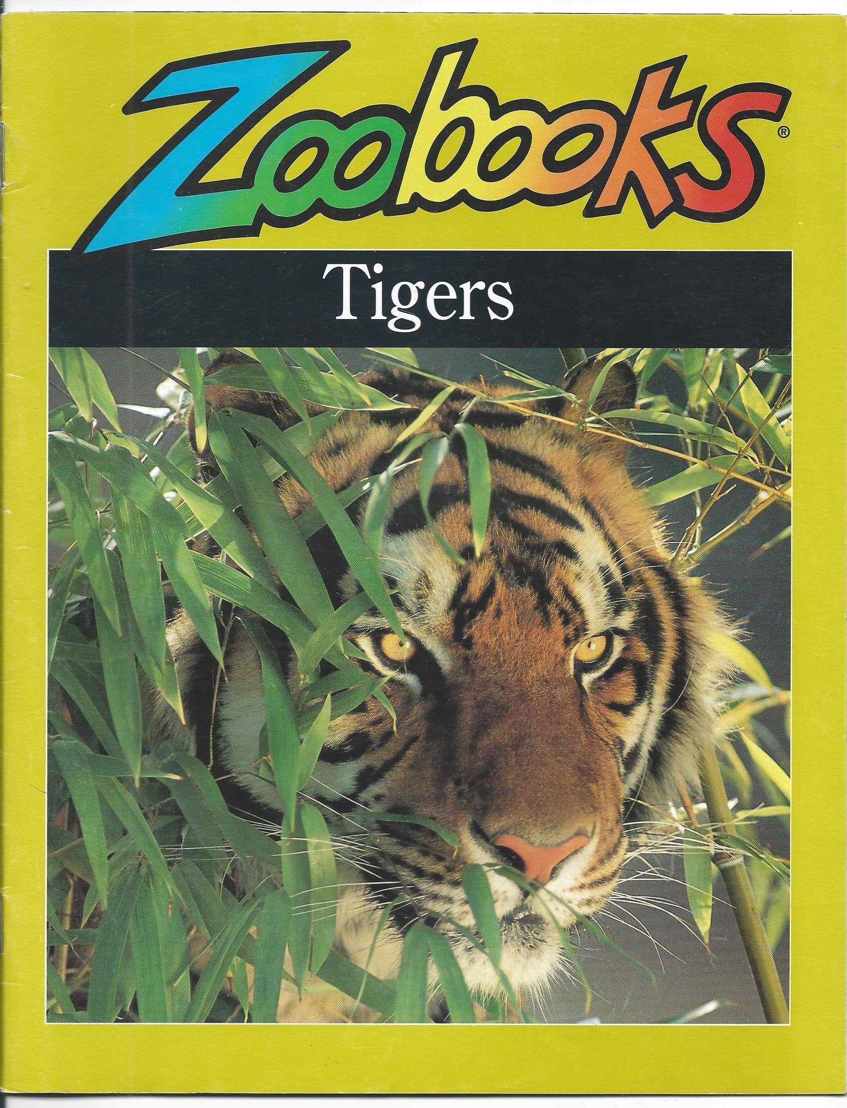 Tigers (Zoobooks Series) Non-fiction