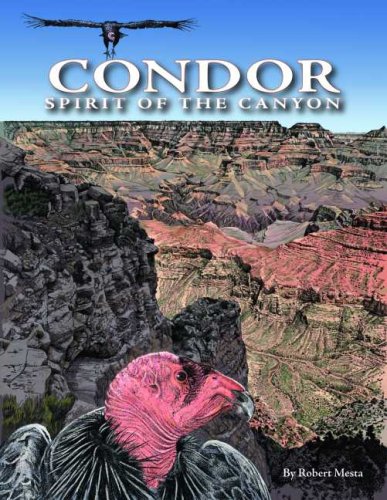 Condor: Spirit of the Canyon Non-fiction