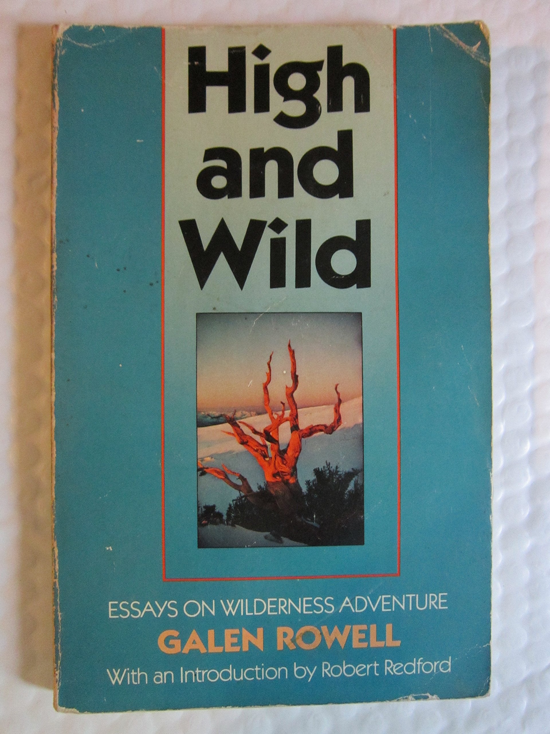 High and Wild: Essays on Wilderness Adventure Leisure & Fun