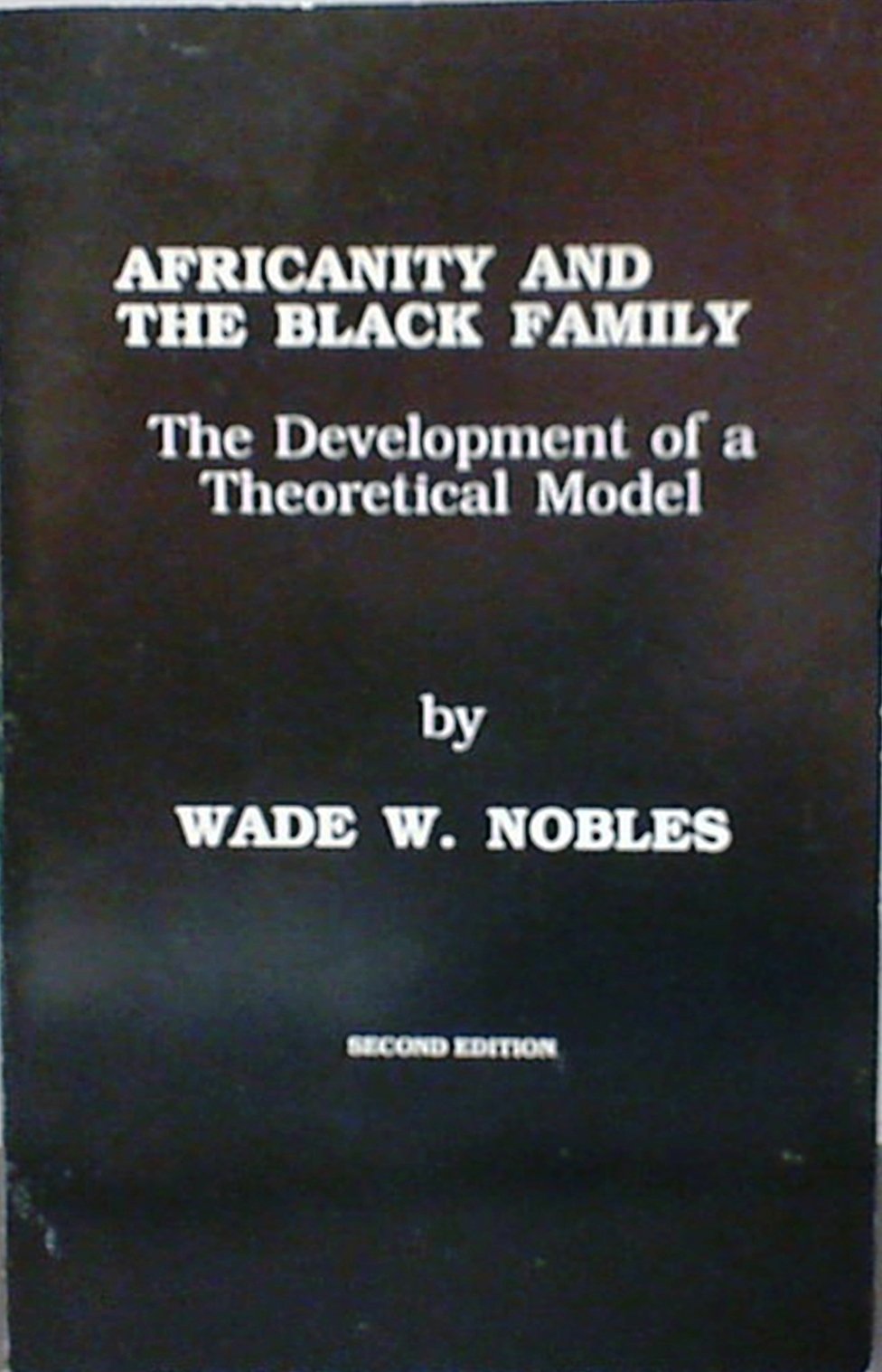 Africanity and the Black Family book