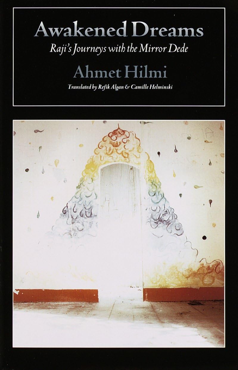 Awakened Dreams Contemporary literature Books