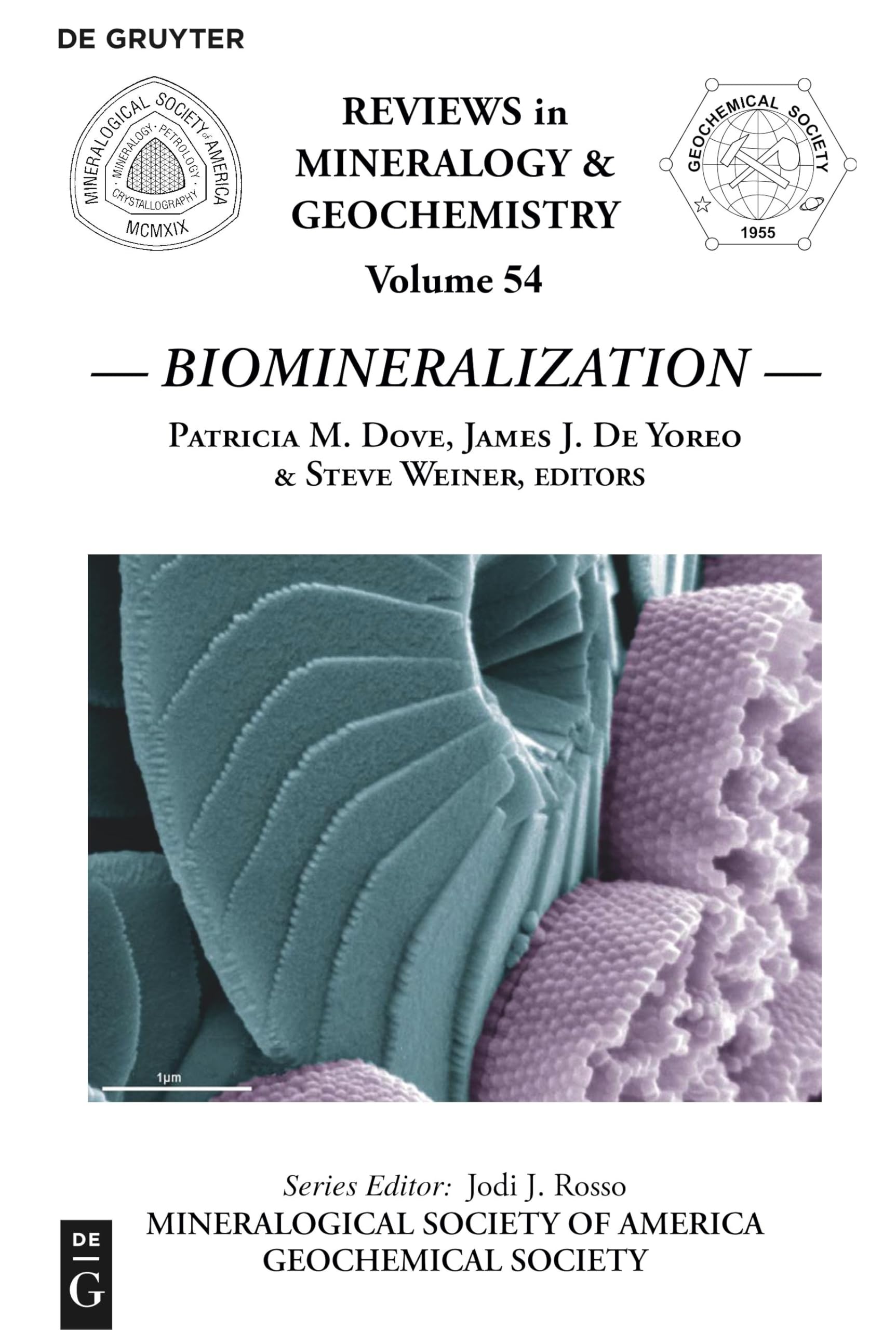 Biomineralization (Reviews in Mineralogy & Geochemistry, 54, Band 54) Social Sciences