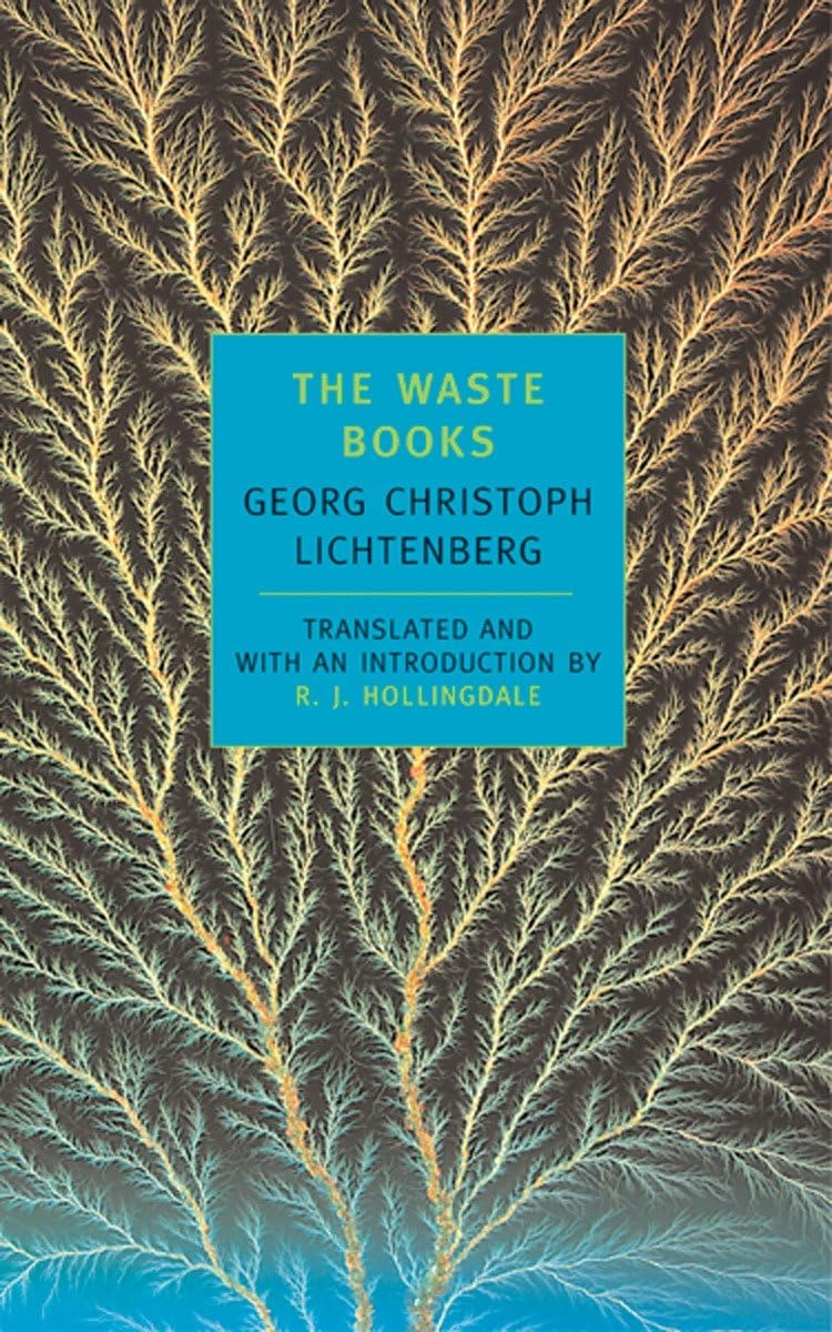 The Waste Books (New York Review Books Classics) Philosophy