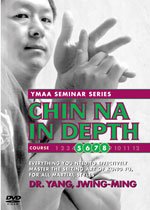 Qigong One Finger Chan Melody: Region 1 DVD Leisure & Fun