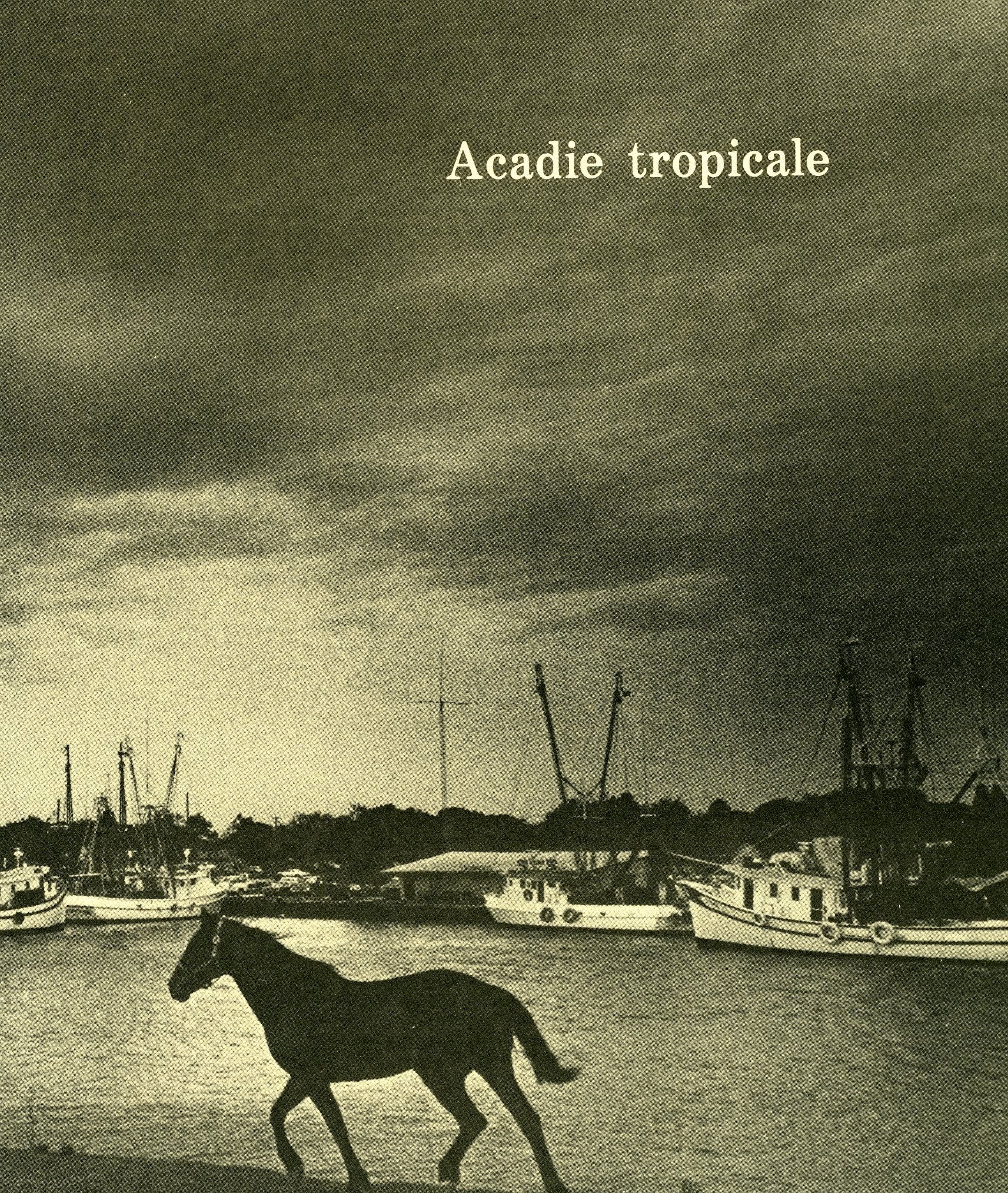 Acadie Tropicale Poesie De Louisiane book
