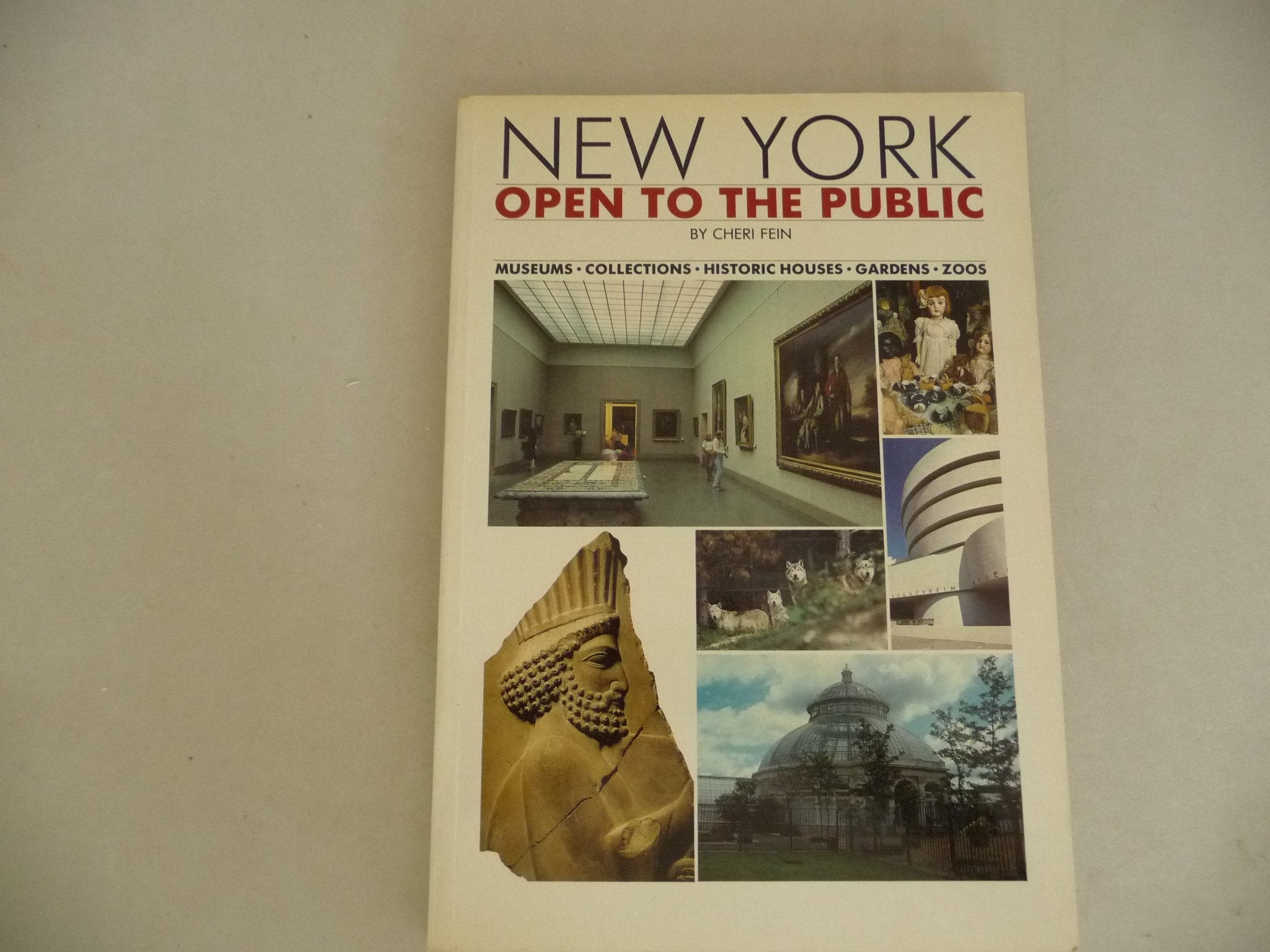 New York Open to the Public book