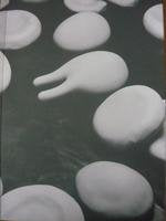 The Body Contemporary literature