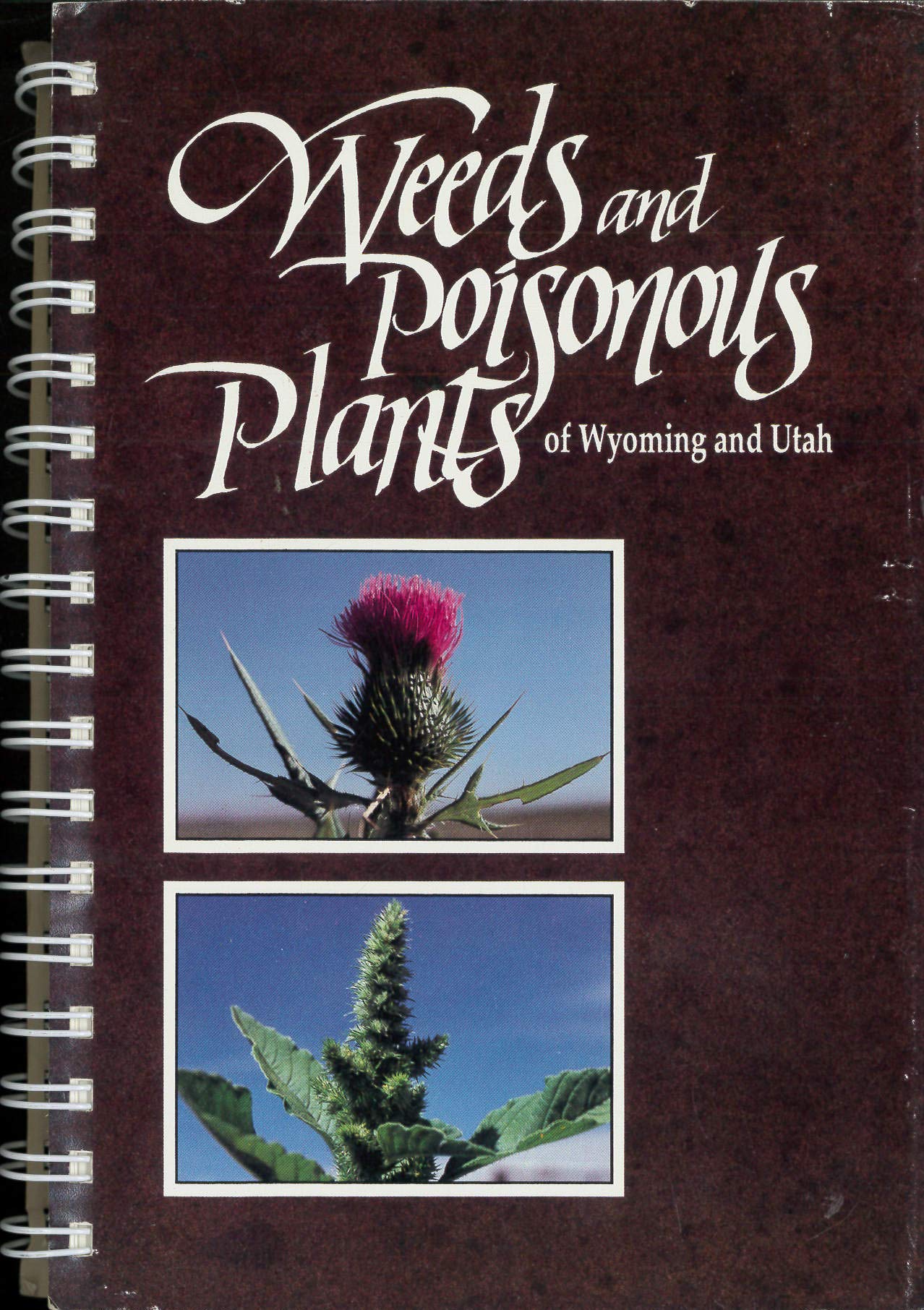 Weeds and Poisonous Plants of Wyoming and Utah (Research Report, 116) Books