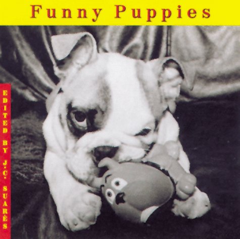 Funny Puppies Pets