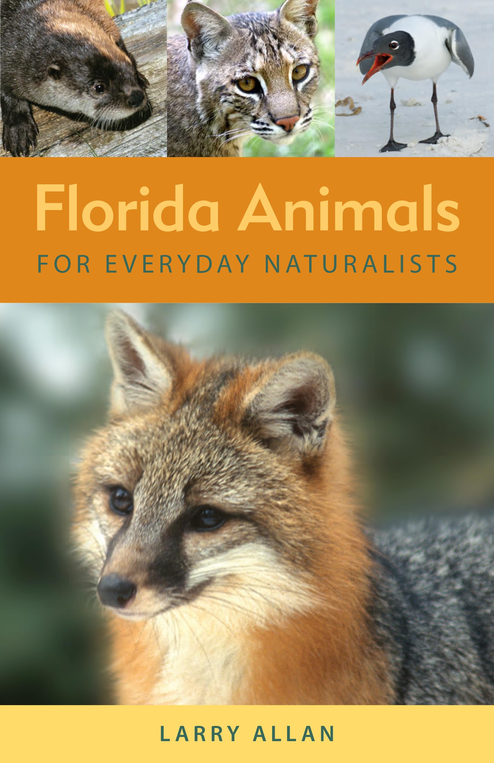 Florida Animals for Everyday Naturalists Mathematics